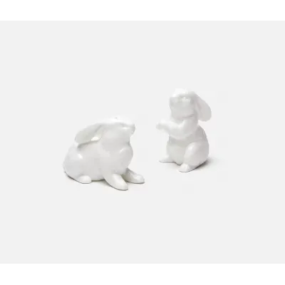 Felicity White, 1 Set of Salt & Pepper Shakers, Porcelain, Boxed