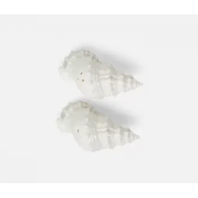 Coco White, 1 Set of Shell Salt & Pepper Shakers, Porcelain, Boxed