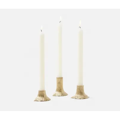 Griffin Gold Candle Holders Brass, Set Of 3