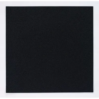 Skate Black 15" Square Placemat, Set of 4
