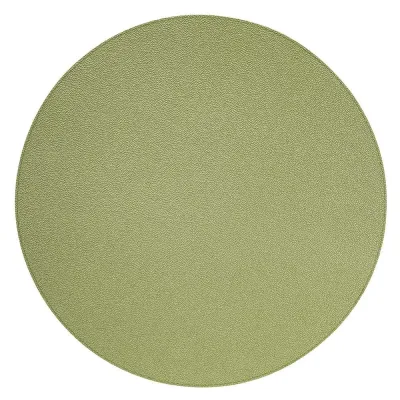 Skate Willow 16" Round Placemat, Set of 4