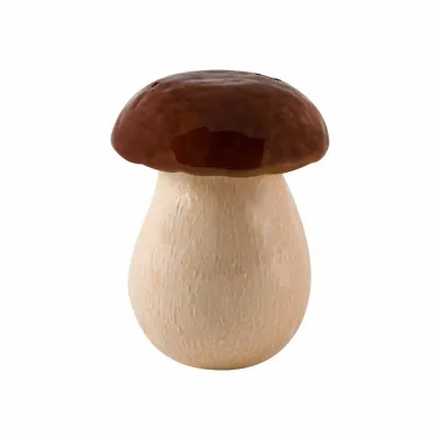 Mushroom Box