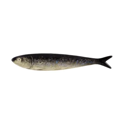 Sardine Sardinha 60 cm/ 2 ft