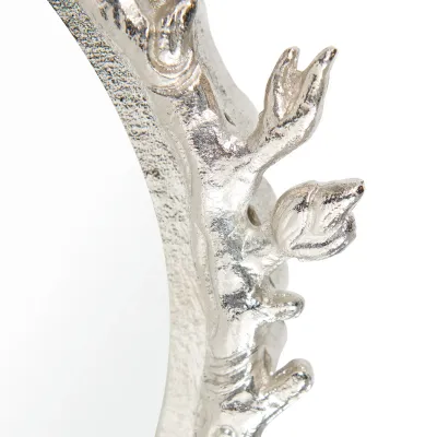 Ganymede Mirror Nickel