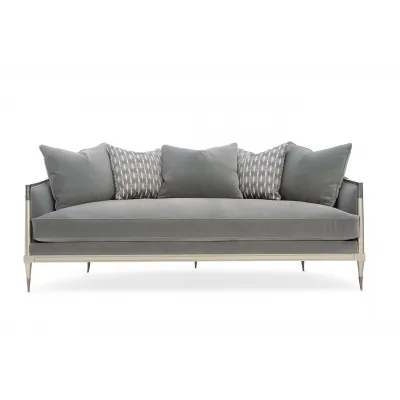 Splash Of Flash Sofas & Loveseats Soft Silver Paint