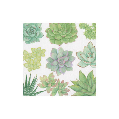 Succulents Paper Cocktail Napkins, 20 Per Pack