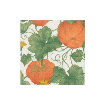 Heirloom Pumpkins Ivory/Orange Boxed Paper Cocktail Napkins, 40 Per Box