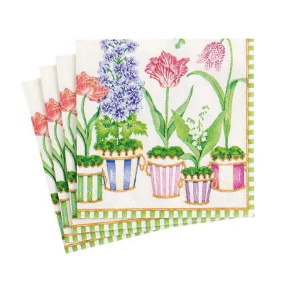 Window Garden Boxed Paper Cocktail Napkins, 40 Per Box