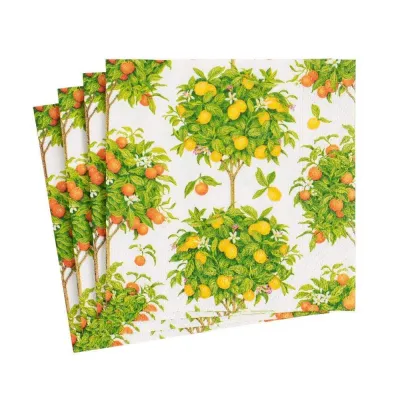 Citrus Topiaries Boxed Paper Cocktail Napkins in White, 40 Per Box