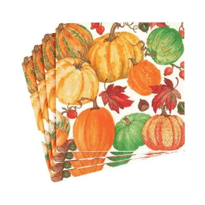 Pumpkin Field Boxed Paper Cocktail Napkins in White , 40 Per Box