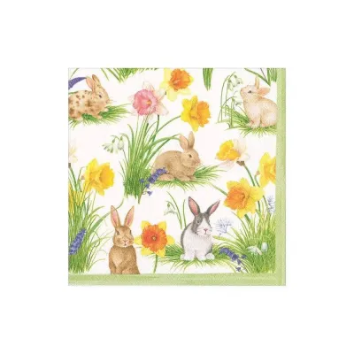Bunnies And Daffodils Boxed Paper Cocktail Napkins, 40 per Box