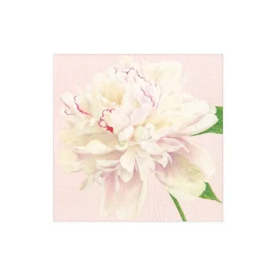 Duchess Peonies Blush Boxed Paper Cocktail Napkins, 40 per Box