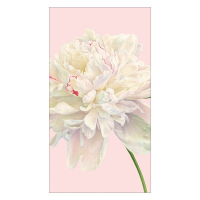 Duchess Peonies Paper Guest Towel/Buffet Napkins in Blush, 15 Per Pack