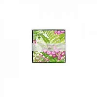 Fern Garden Boxed Cocktail Napkins - 40 Per Box