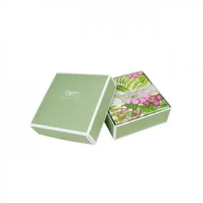 Fern Garden Boxed Cocktail Napkins - 40 Per Box