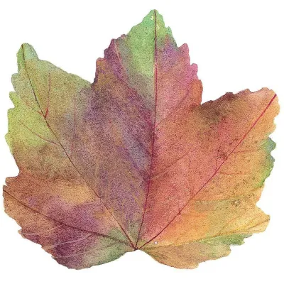 Autumn Leaf Placemat Die Cut Single