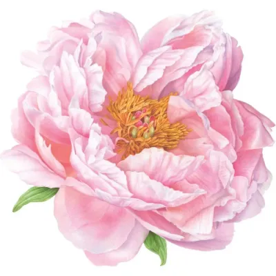 Pink Peony Hardback Placemat