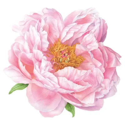 Pink Peony Hardback Placemat