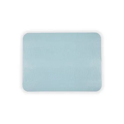 Soft Aqua Lizard Placemat Felt 16 X 12 Inches