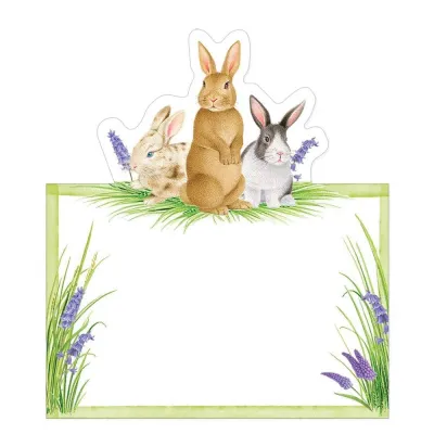 Bunnies and Daffodils Die-Cut Place Cards, 8 Per Pack