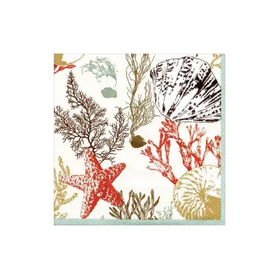 Marine Study Ivory Cocktail Napkins, 20 per package