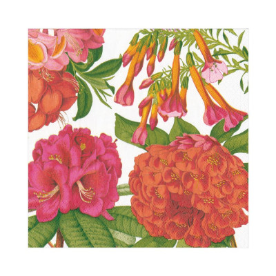 Jefferson's Garden Study Paper Luncheon Napkins White, 20 Per Pack