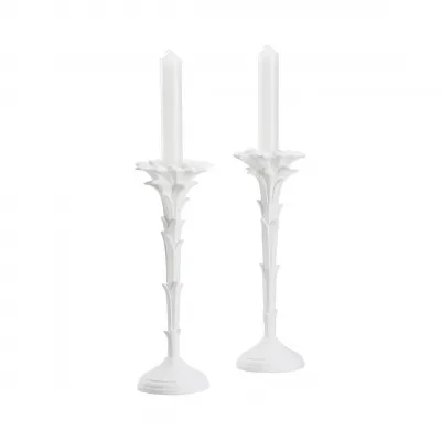 Roche Candlestick Pair by Meg Braff