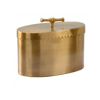 Buttercup Brass Box Large