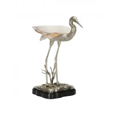Coastal Bird