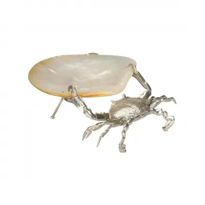 Foraging Crab