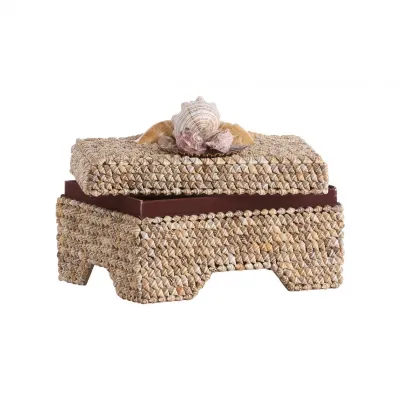 Island Shell Box