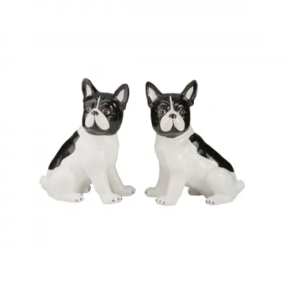 Gypsy Black/White Dog Pair