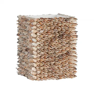 Shell Planter