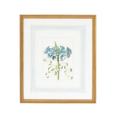 Blue Floral W/Ribbon D Hand Colored Engraving