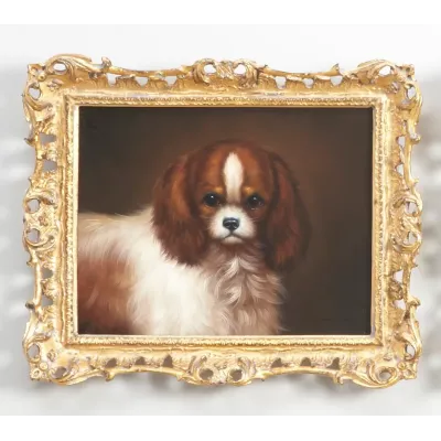 King Charles Spaniel
