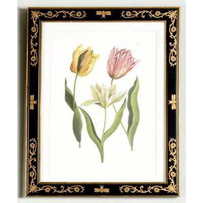 Tulip in Decorative Frame(991) Lithograph Print
