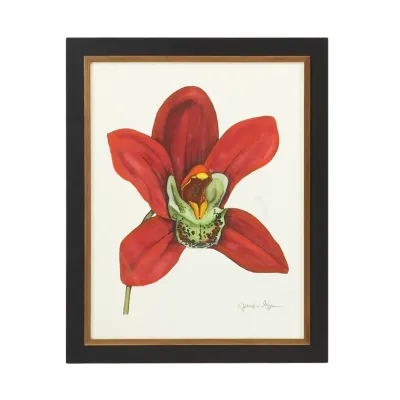 Majestic Orchid III Hand Colored Print