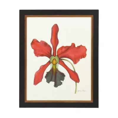 Majestic Orchid IV Hand Colored Print