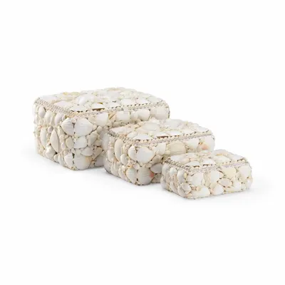 White Shell Boxes, Set of 3