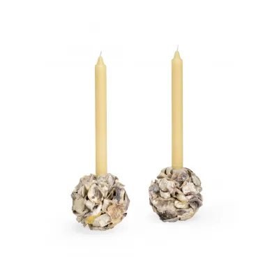 Oyster Shell Candleholder Pair