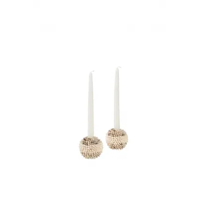 Nassa Shell Candleholder Pair
