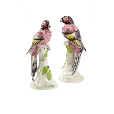 Large Kenya Parrots Pair