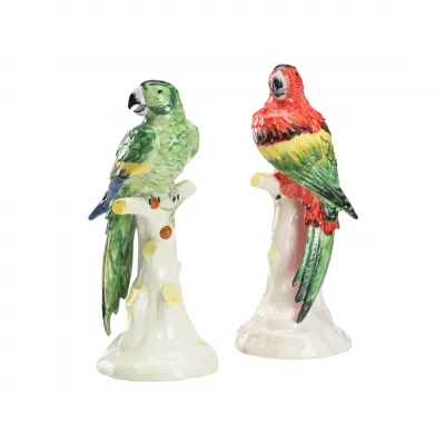 Large Parrots with Cherries Pair