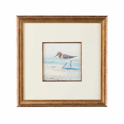 Sand Piper II