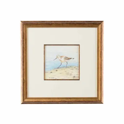Sand Piper V