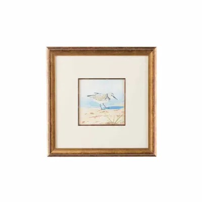 Sand Piper VI