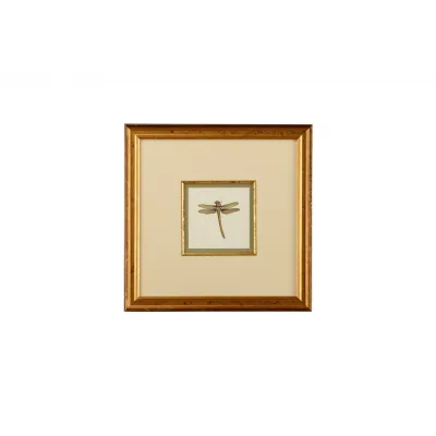 Miniature Dragonfly I