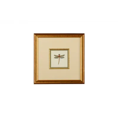 Miniature Dragonfly II