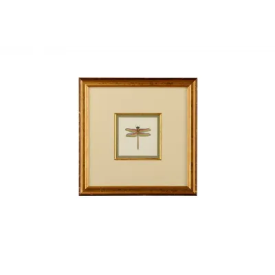 Miniature Dragonfly III