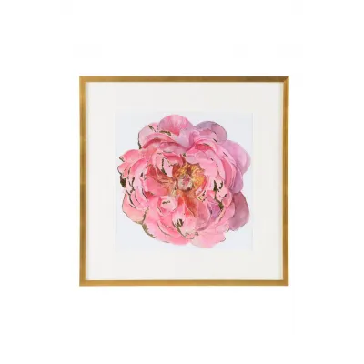 Blossomed Peony II